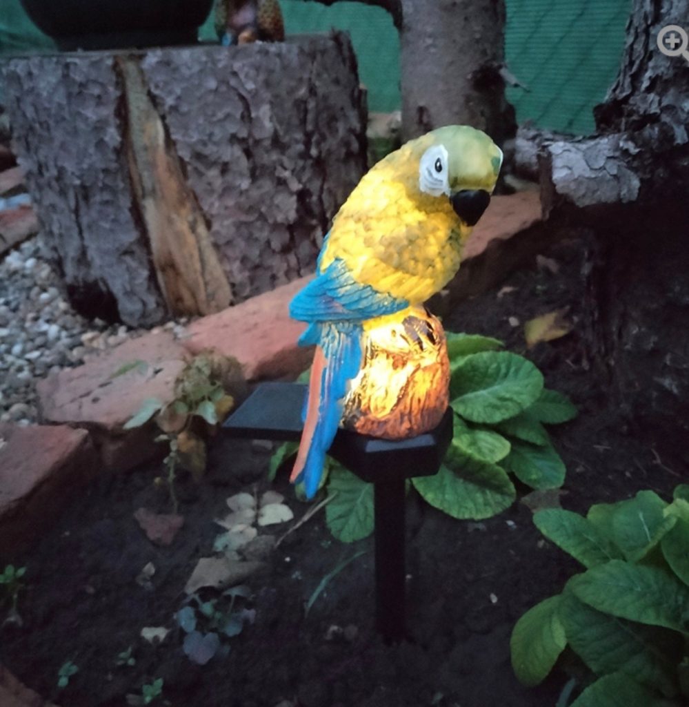 Solarna sova i papagaj